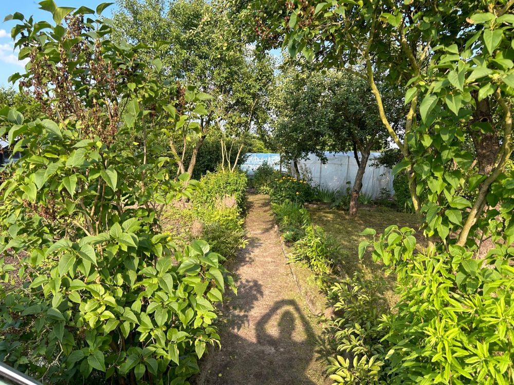 Działka rod Odolanów. Zdjęcie 3