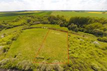 Działka rolno-budowlana Ujście. Zdjęcie 4