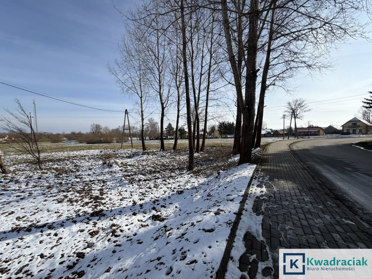 Działka budowlana Bzianka. Zdjęcie 8