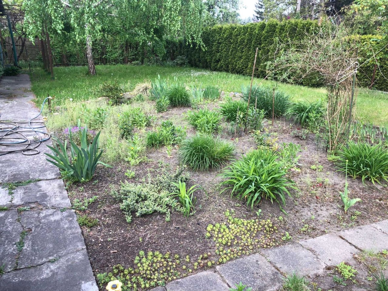 Działka rod Warszawa Targówek, ul. Odrowąża. Zdjęcie 4