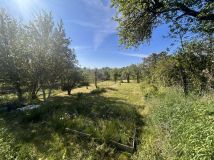 Działka rod Gorzów Wielkopolski Piaski, ul. Stefana Batorego. Zdjęcie 3