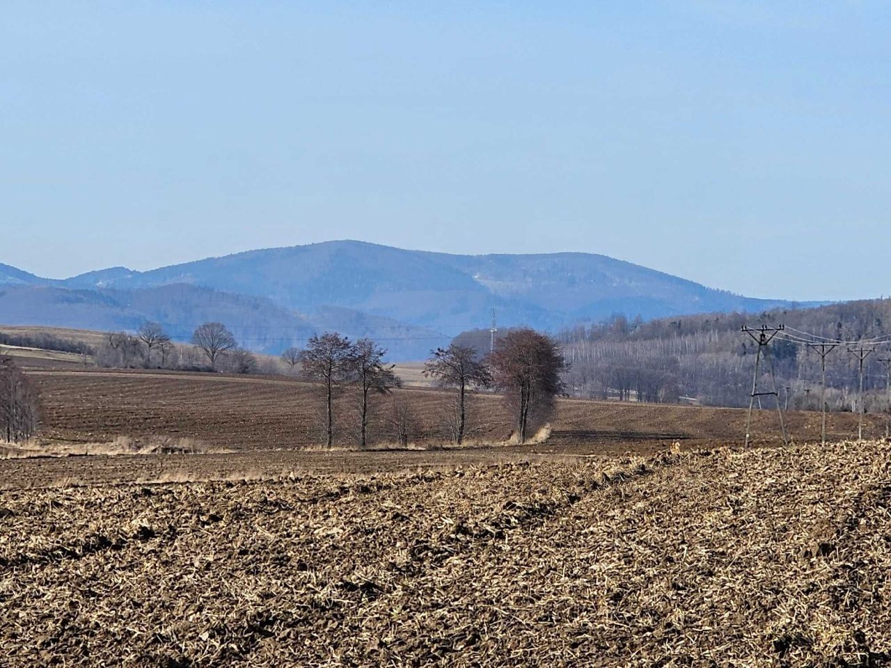 Działka budowlana Przedborowa. Zdjęcie 6