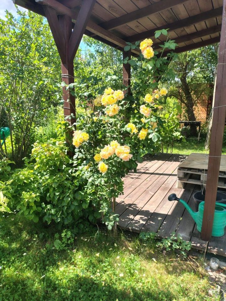 Działka rod Suwałki. Zdjęcie 4