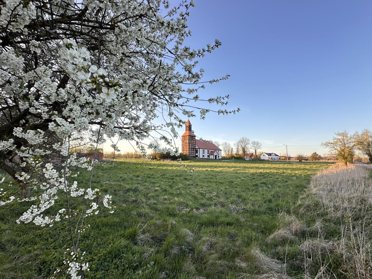 Działka budowlana Przynotecko. Zdjęcie 2