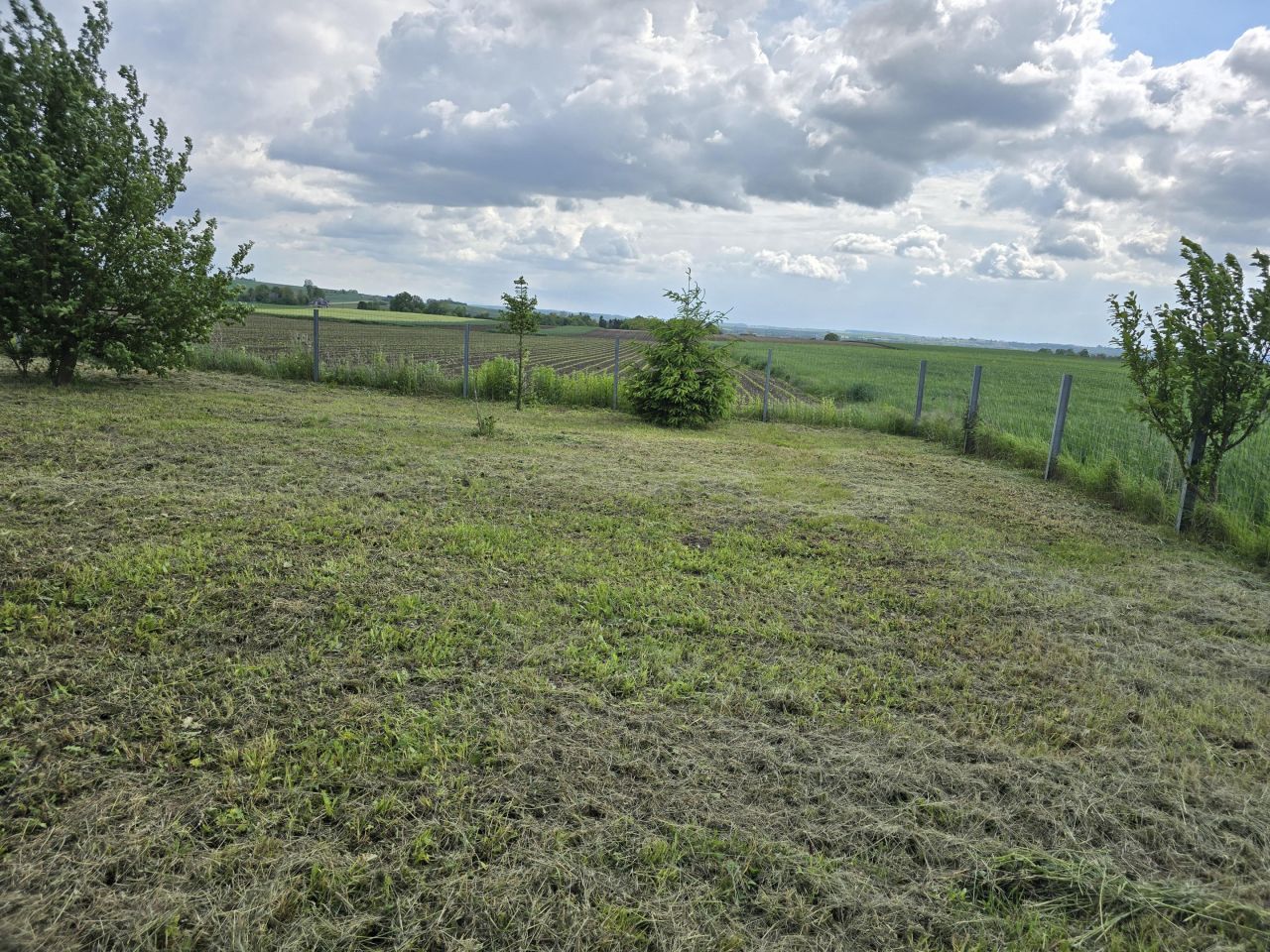 Działka rolno-budowlana Łętkowice-Kolonia. Zdjęcie 10