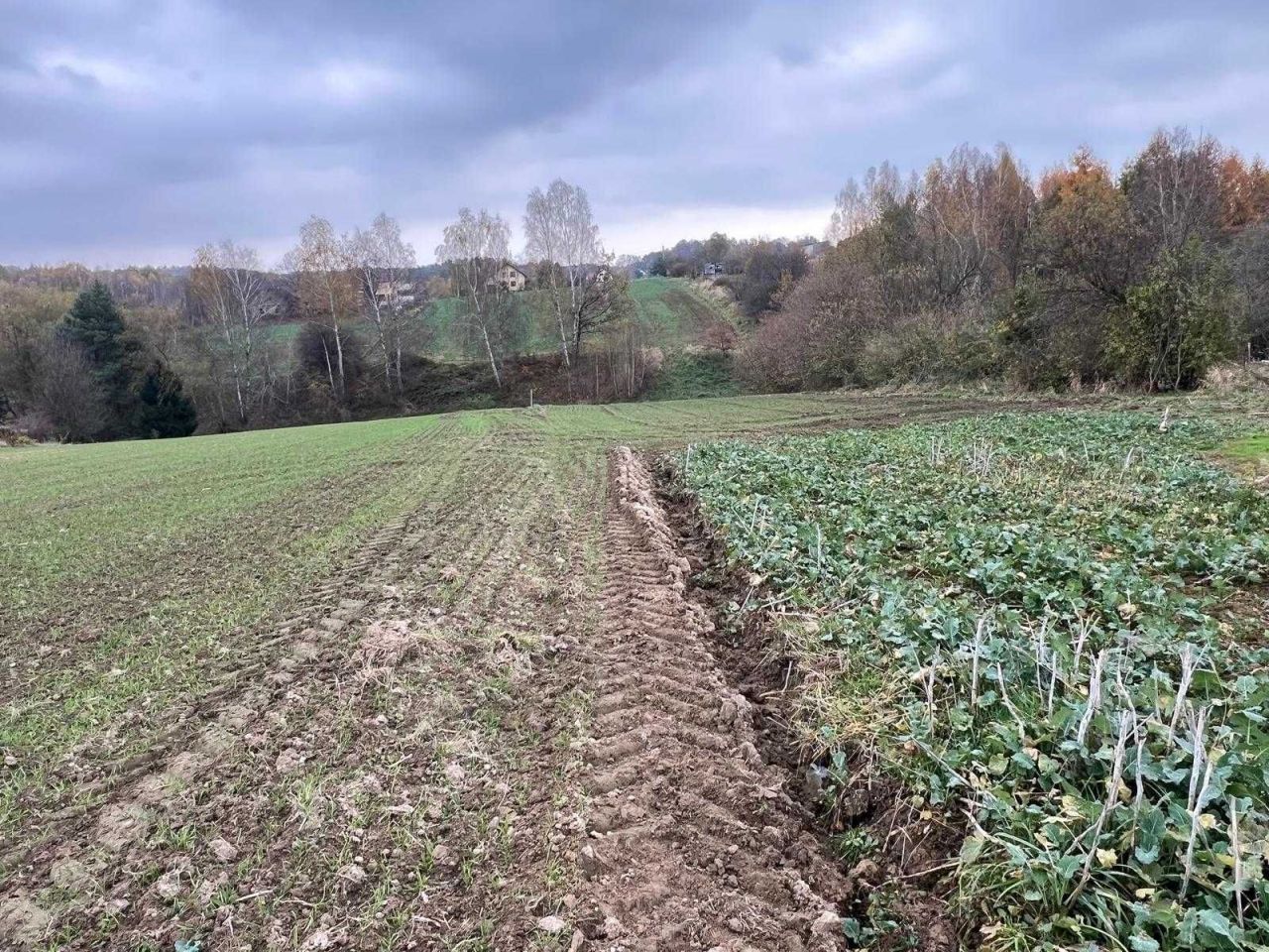 Działka budowlana Jastrzębie-Zdrój Ruptawa, ul. Jaskółcza