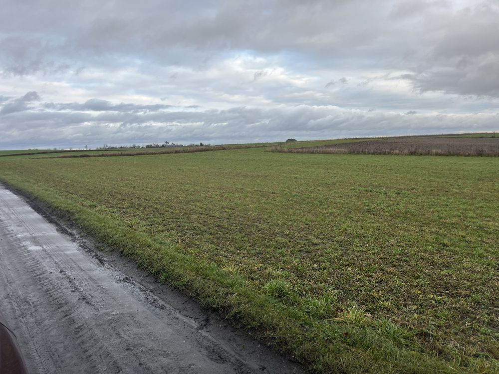 Działka siedliskowa Gogolinek. Zdjęcie 3