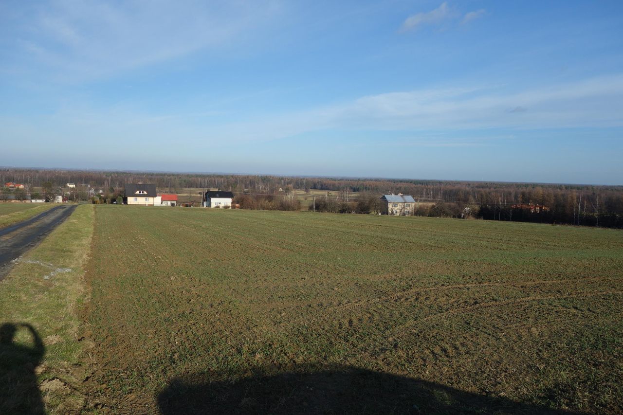 Działka siedliskowa Pierściec, ul. Winogradzka. Zdjęcie 6