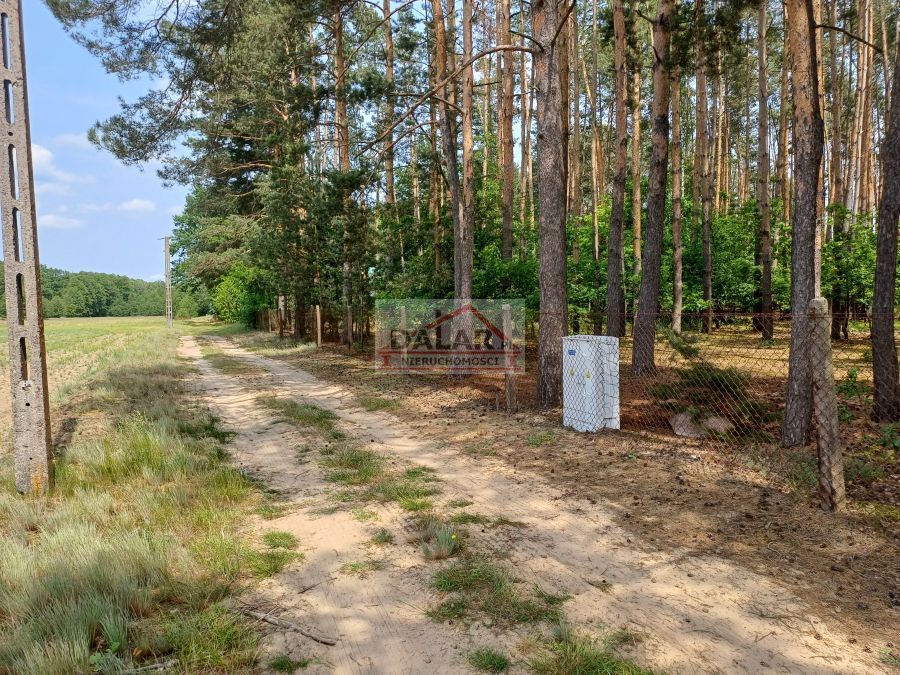 Działka budowlana Wola Pieczyska. Zdjęcie 7