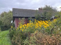 Działka rolno-budowlana Łopiennik Górny. Zdjęcie 1