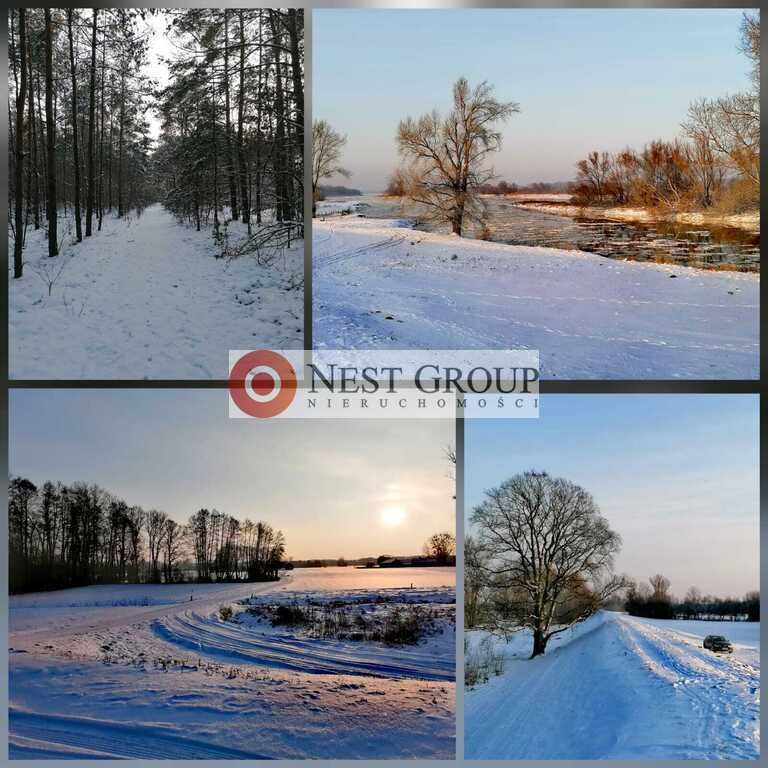 Działka leśna Gilówka Dolna. Zdjęcie 9