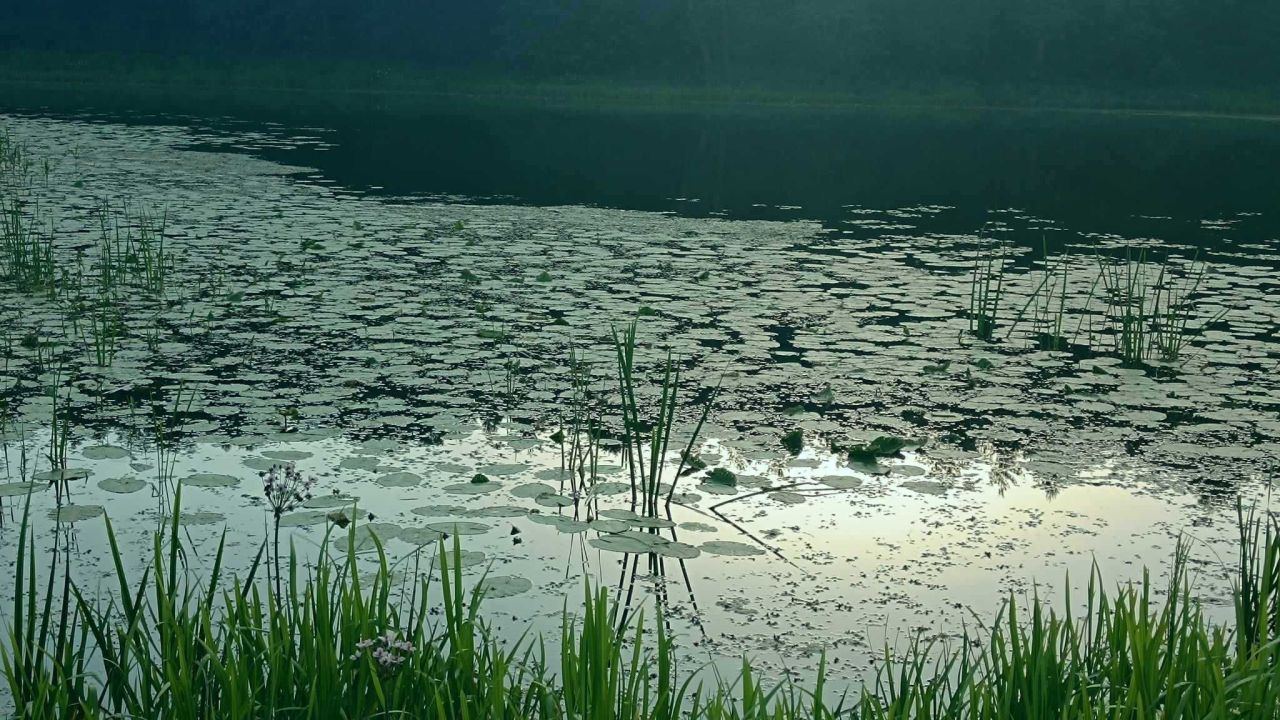 Działka budowlana Wajków. Zdjęcie 3