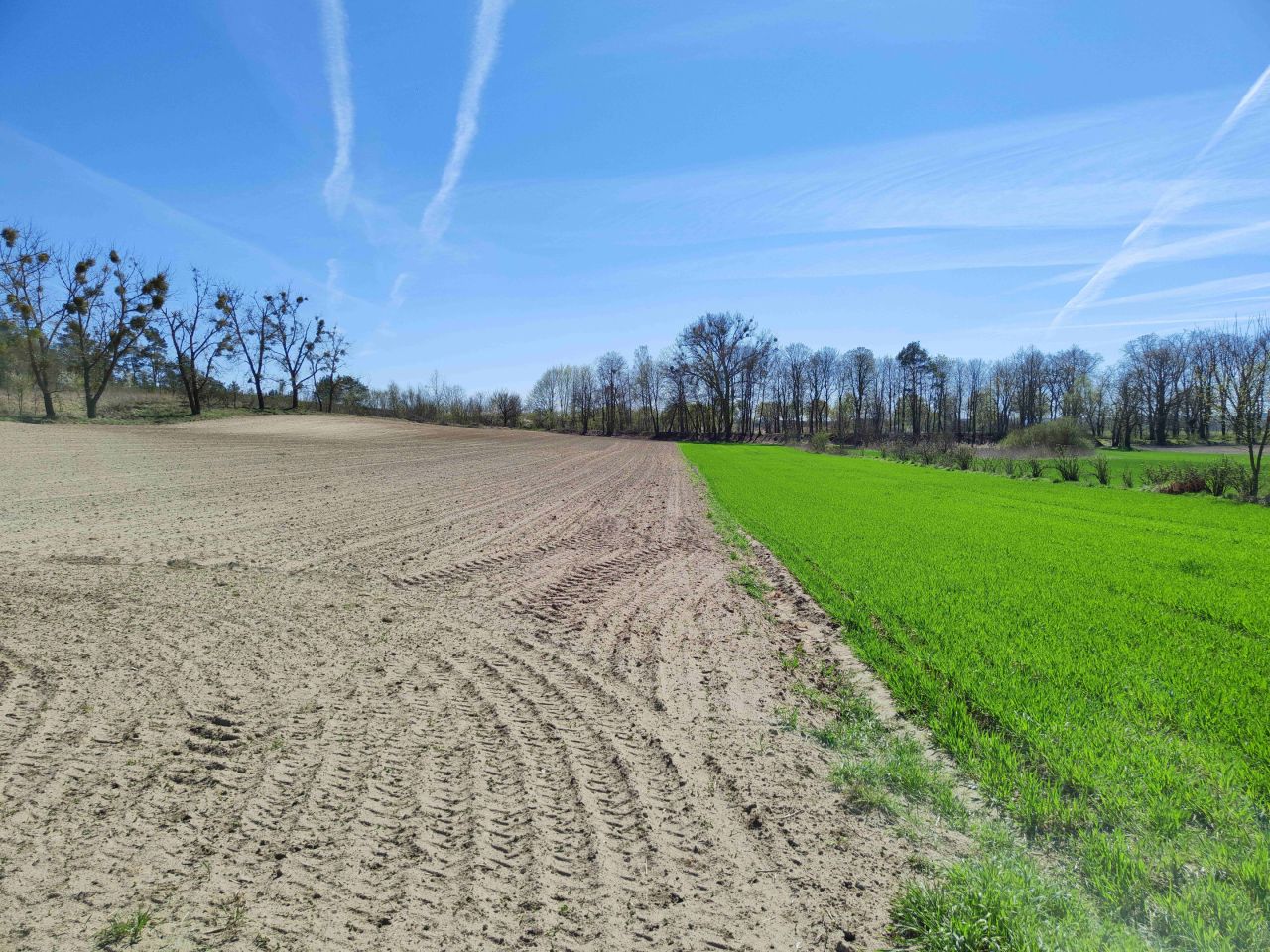 bliźniak, 4 pokoje Trzcińsko-Zdrój, ul. Polna. Zdjęcie 20