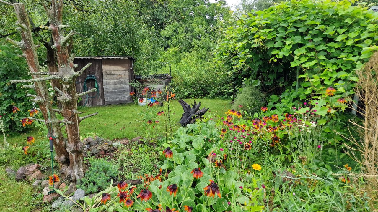Działka rod Olsztyn Track, ul. Marii Zientary-Malewskiej. Zdjęcie 4