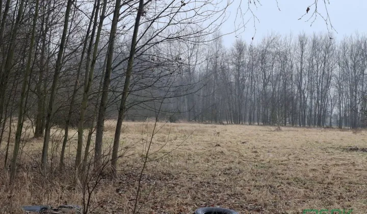 Działka inna Brzeszcze, ul. Graniczna