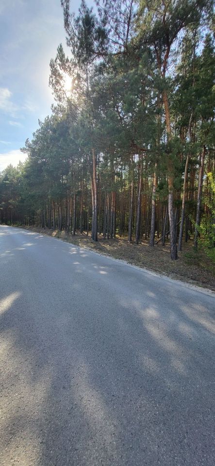 Działka rolno-budowlana Zygmuntowo. Zdjęcie 4