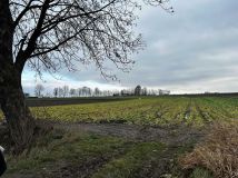 Działka rolno-budowlana Makocice. Zdjęcie 3