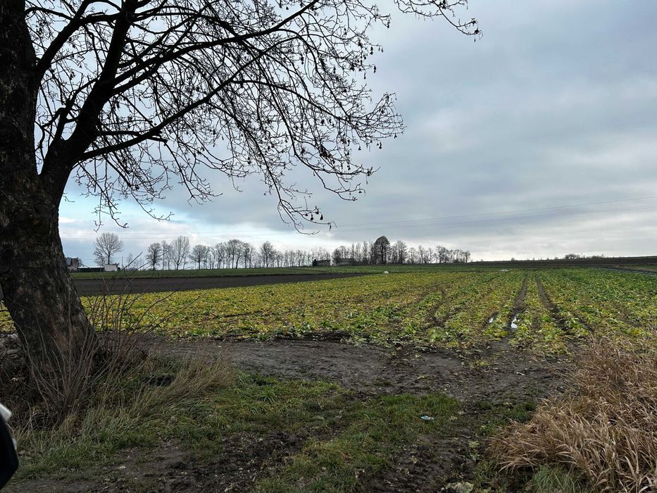 Działka rolno-budowlana Makocice. Zdjęcie 4