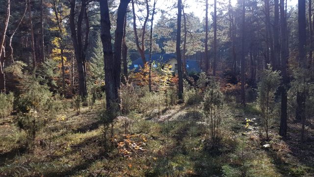 Działka budowlana Radzymin Rejentówka, ul. Zygmunta Wróblewskiego. Zdjęcie 9