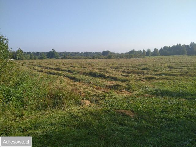 Działka rolna Borzęcin Duży, ul. Borowa Droga. Zdjęcie 1