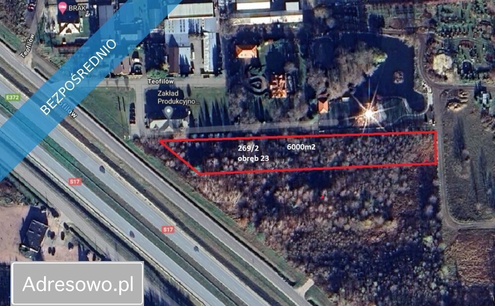 Działka rolna Wola Ducka. Zdjęcie 2