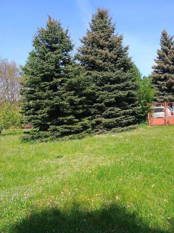 Działka budowlana Anielin Swędowski, ul. Księżycowa. Zdjęcie 2