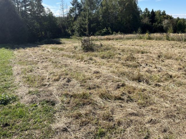 Działka budowlana Woźniki. Zdjęcie 1