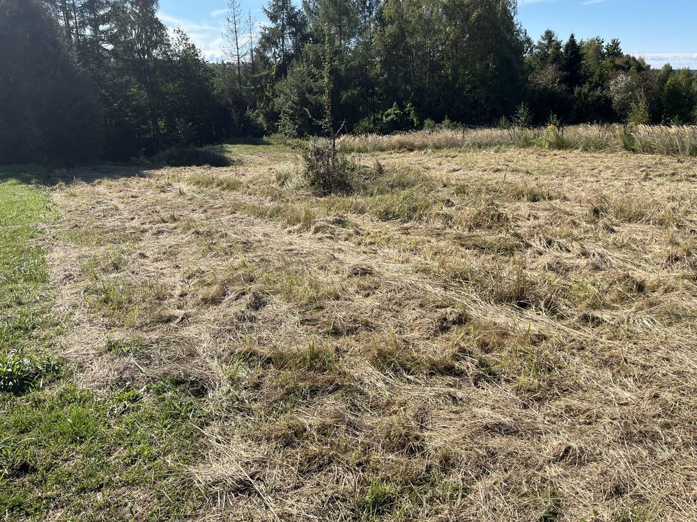 Działka budowlana Woźniki