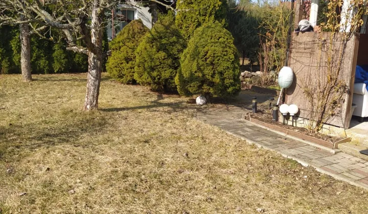 Działka rod Konstantynów Łódzki Żabiczki, ul. Krzywa