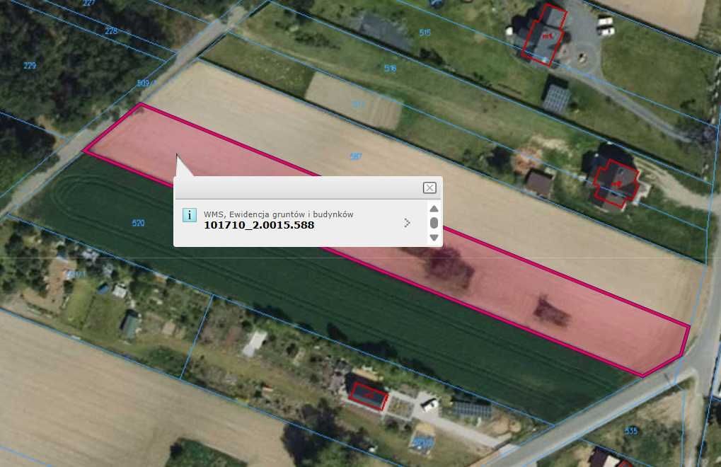 Działka rolno-budowlana Przywóz. Zdjęcie 2