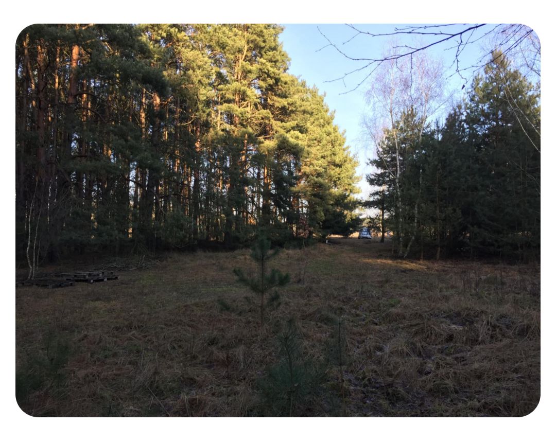 Działka rolno-budowlana Grzybowo. Zdjęcie 5