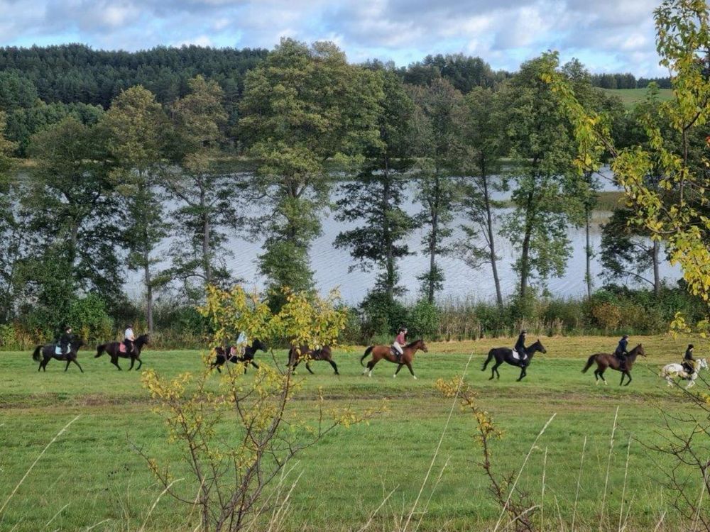 Działka budowlana Piechowice. Zdjęcie 6