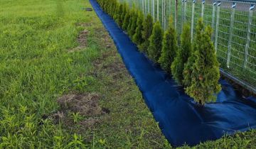 Działka budowlana Gruszczyn