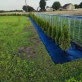 Działka budowlana Gruszczyn. Zdjęcie 1