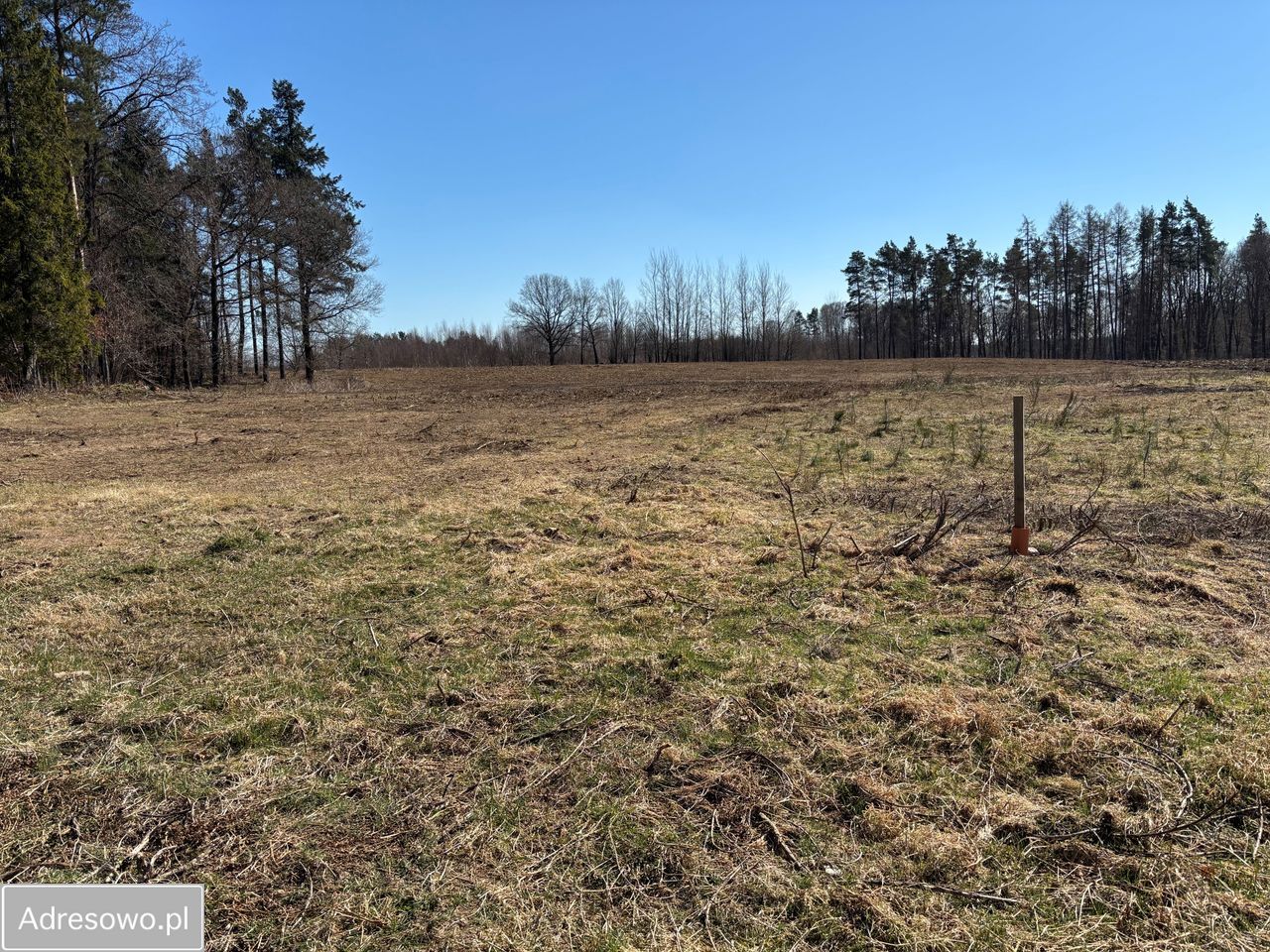 Działka budowlana Nowy Dwór Wejherowski. Zdjęcie 2