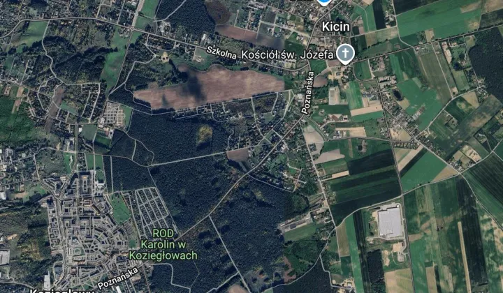 Działka budowlana Kicin, ul. Daglezjowa