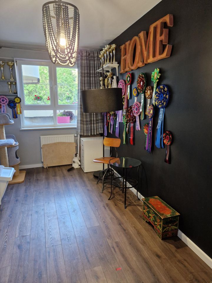Mieszkanie 3-pokojowe Lublin LSM, ul. Jana Sawy. Zdjęcie 6