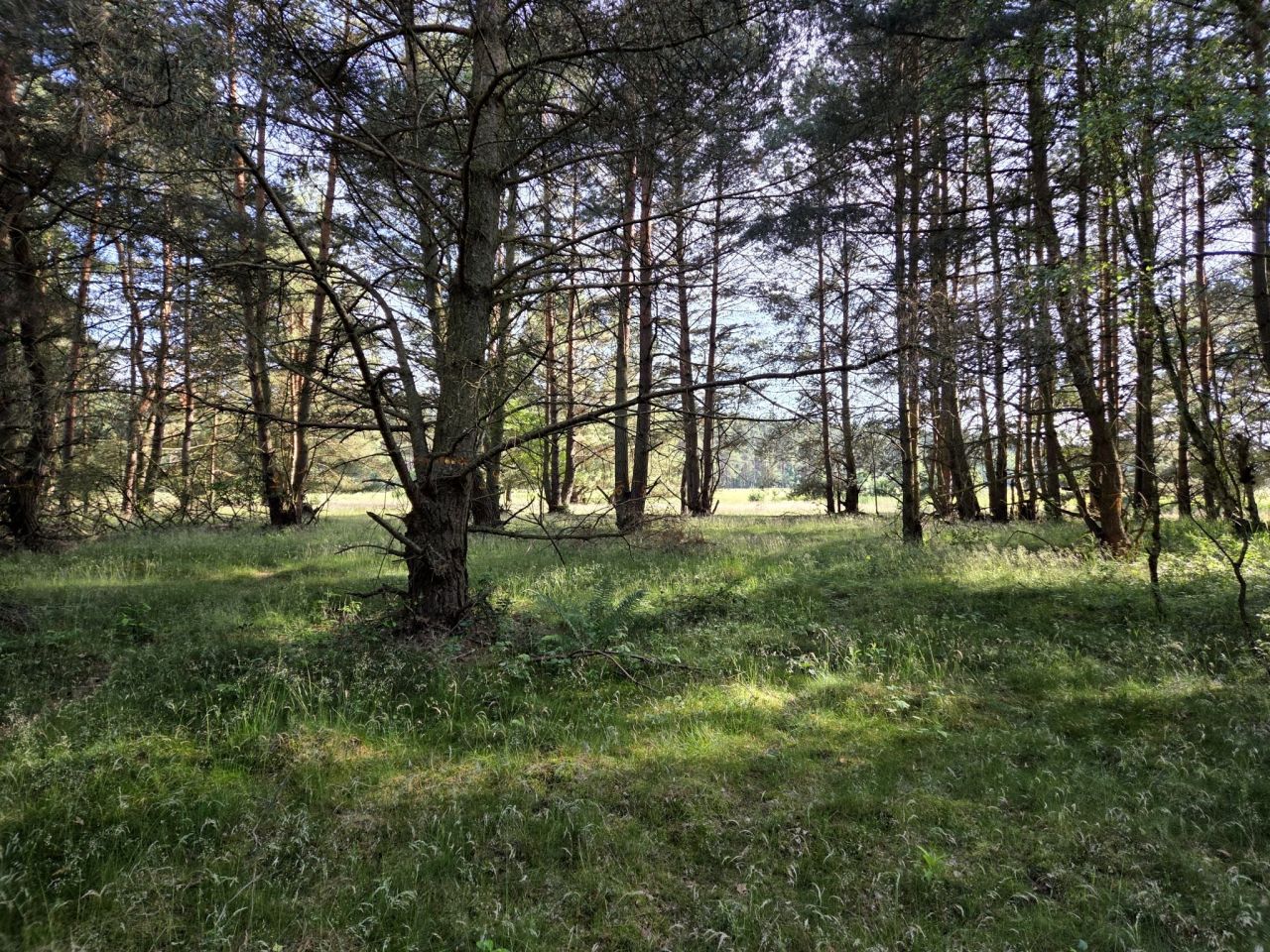 Działka rolna Szczecin Wielgowo. Zdjęcie 7