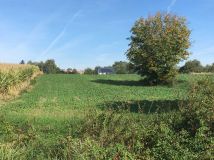 Działka inwestycyjna Sokołowice. Zdjęcie 4
