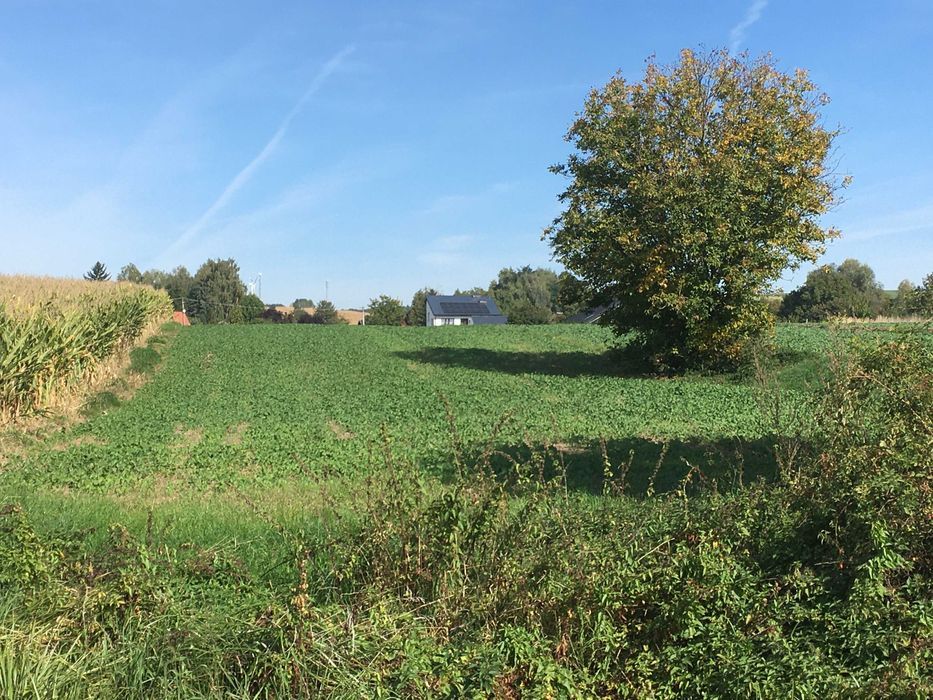 Działka inwestycyjna Sokołowice. Zdjęcie 5