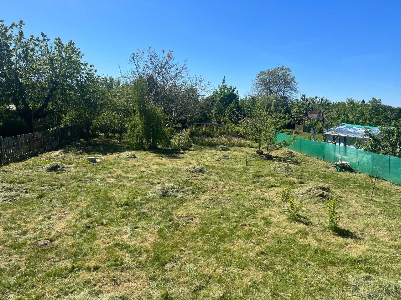 Działka rod Słupsk, ul. Stefana Banacha. Zdjęcie 7