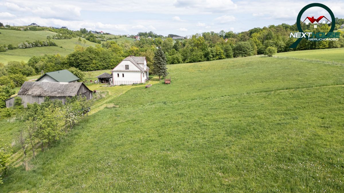 Działka rolna Krasne Potockie. Zdjęcie 4