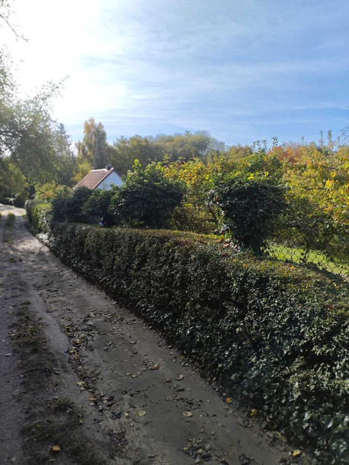 Działka rod Szczecin Gumieńce. Zdjęcie 5