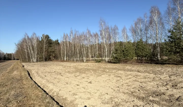 Działka rolno-budowlana Lipiny Dolne Kawęczyna, Lipiny Dolne