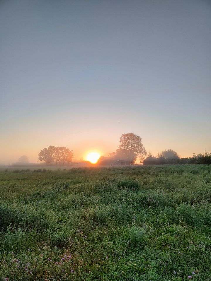 Działka budowlana Kałęczyny. Zdjęcie 8