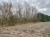 Działka rolna Nadolna. Zdjęcie 4