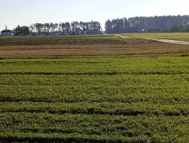 Działka rolno-budowlana Rzeczyca, ul. Przeciętka. Zdjęcie 1