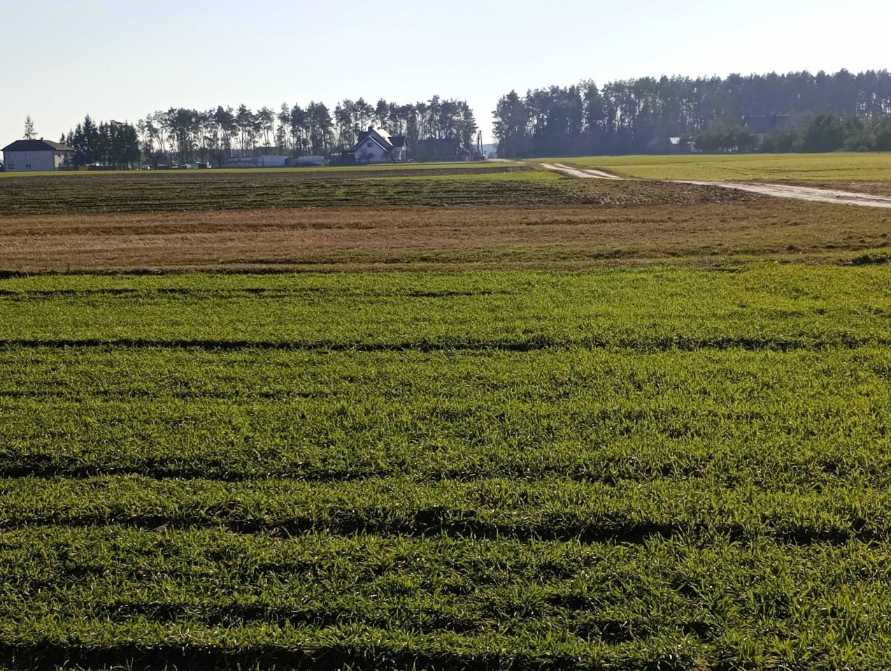 Działka rolno-budowlana Rzeczyca, ul. Przeciętka. Zdjęcie 2