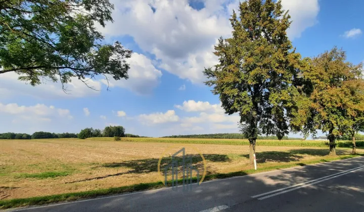 Działka rolna Rudno