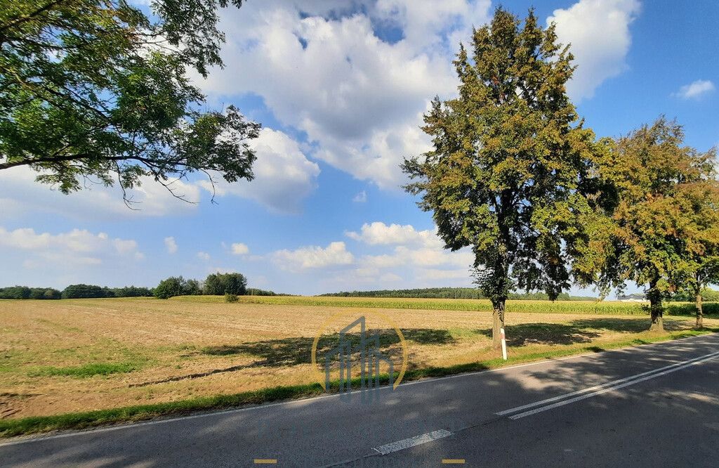 Działka rolna Rudno. Zdjęcie 1